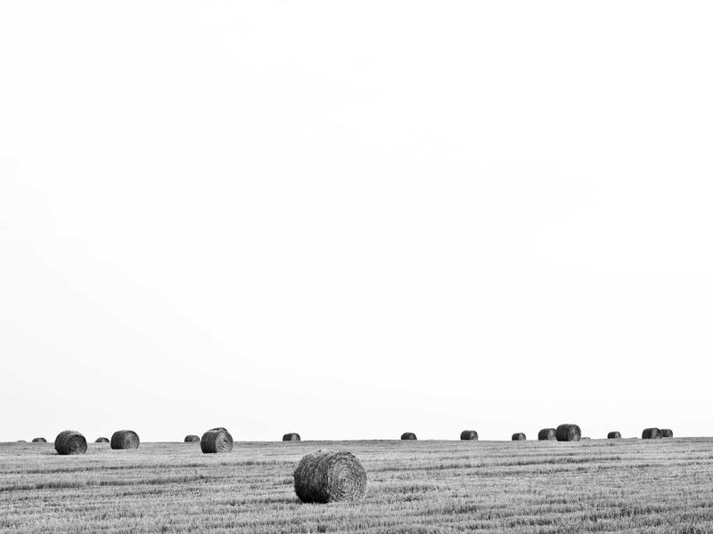 华尔街暗池<br>美股期权与港股打新通道